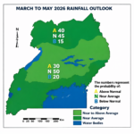 Rainfall distribution