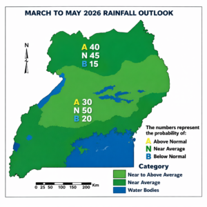 Rainfall distribution