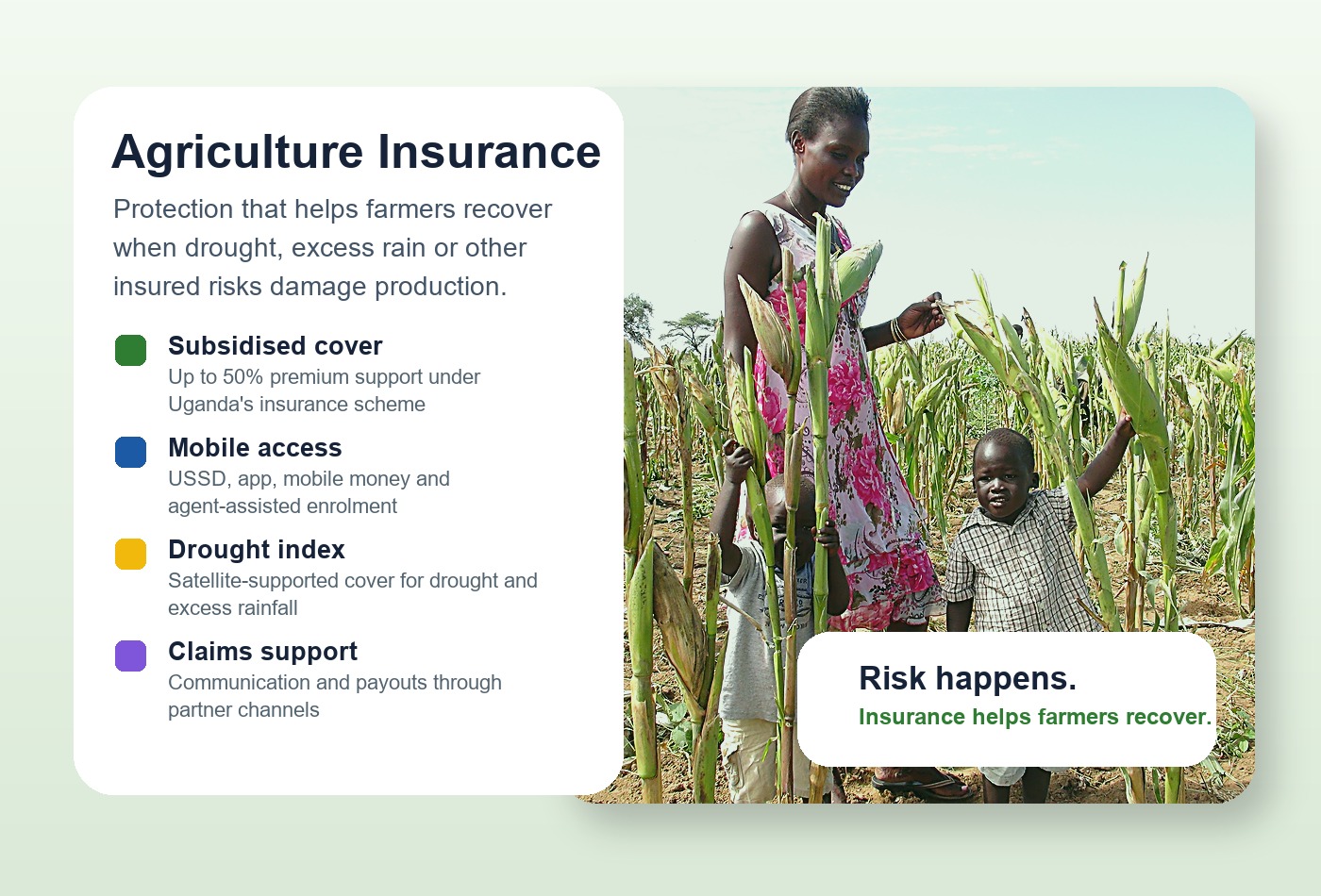 agriculture insurance