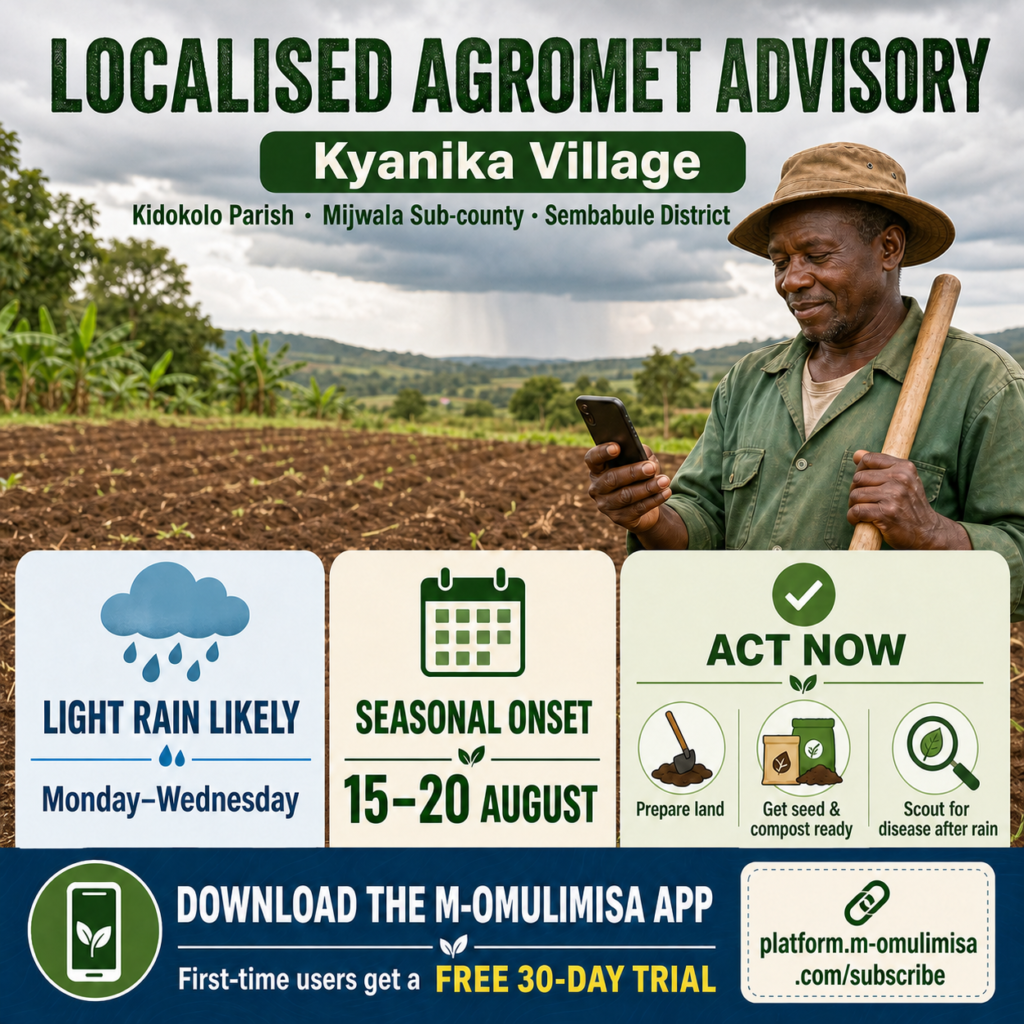 Localised M-Omulimisa AgroMet advisory for a farmer in Kyanika Village, showing expected rain, the seasonal onset window and recommended farm actions.
