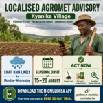 Localised M-Omulimisa AgroMet advisory for a farmer in Kyanika Village, showing expected rain, the seasonal onset window and recommended farm actions.